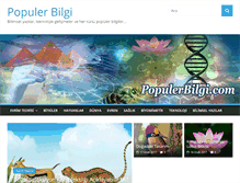 Tablet Screenshot of populerbilgi.com